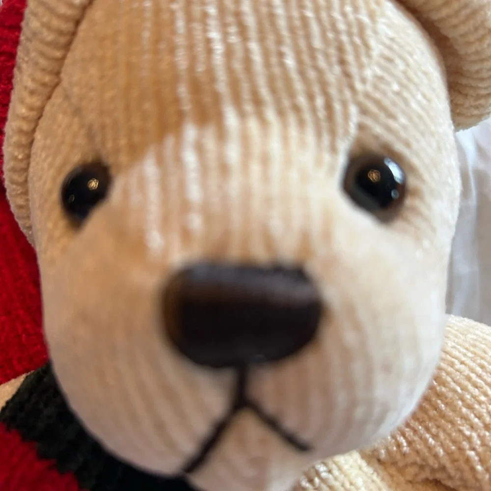 Pier 1 imports bear